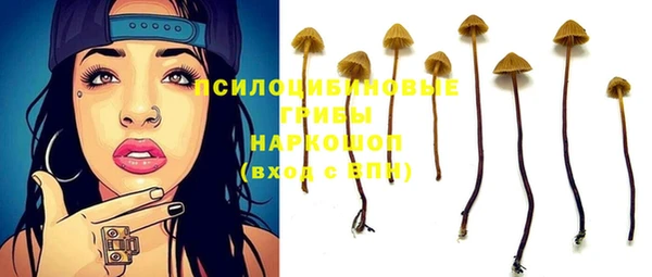ПСИЛОЦИБИНОВЫЕ ГРИБЫ Абдулино