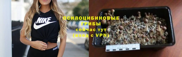 метадон Абаза