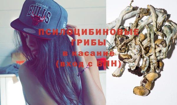 ПСИЛОЦИБИНОВЫЕ ГРИБЫ Абдулино