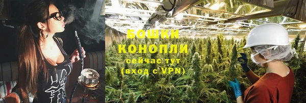 ПСИЛОЦИБИНОВЫЕ ГРИБЫ Абдулино