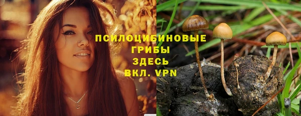 герыч Алзамай