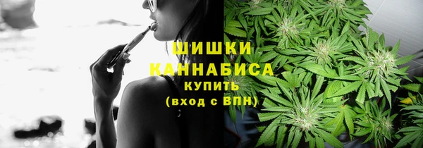 ПСИЛОЦИБИНОВЫЕ ГРИБЫ Абдулино